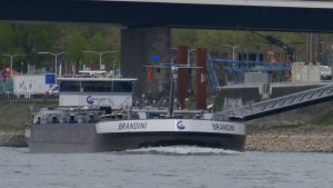 After Work Motorboottraining 24.05.2017 - Binnenschiff mit blauer Tafel bei Düsseldorf auf dem Rhein