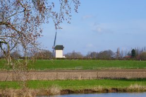 Windmühle - Skippertraining mit der Motoryacht auf der Maas